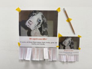 Zoll oder Zentimeter