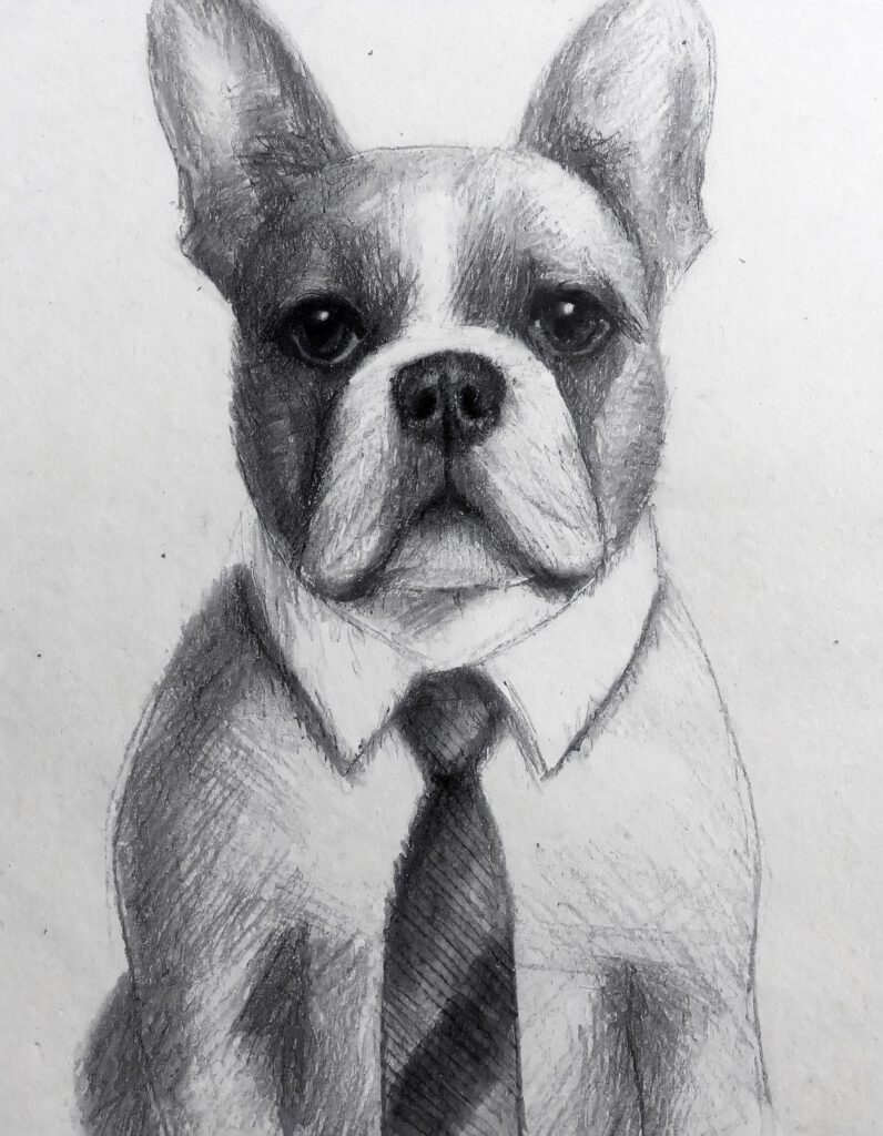 Bulldoggen fine
