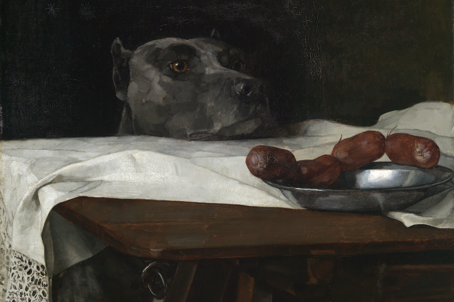 Dogge hinter einem Tisch, davor Teller mit Würstchen darin